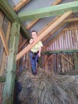 IMG_20250530_124848518