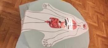 IMG_20250605_104204