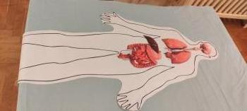 IMG_20250605_104209