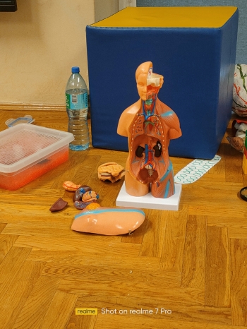 IMG20250605101738