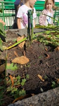 IMG_20250922_112208377_HDR