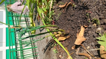 IMG_20250922_112540929_HDR