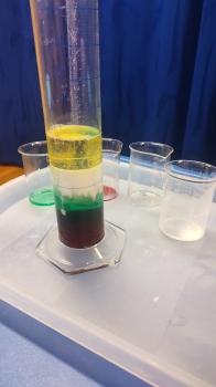 IMG_20250929_102715259