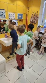 IMG_20251006_093114652