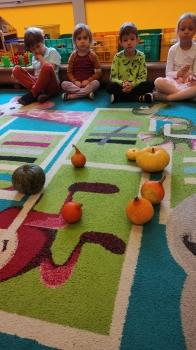 IMG_20251006_092324882