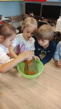 IMG_20251006_100729056