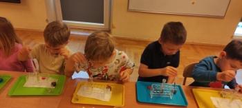 IMG_20250929_111224