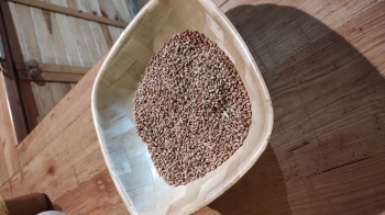 IMG_20251015_114034426