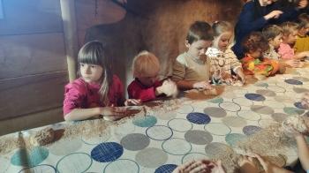 IMG_20251015_125816724