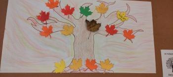 IMG_20251013_111953