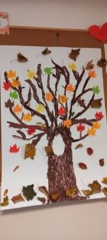 IMG_20251013_112040
