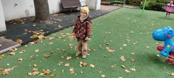 IMG_20251010_114237