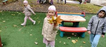 IMG_20251010_114840