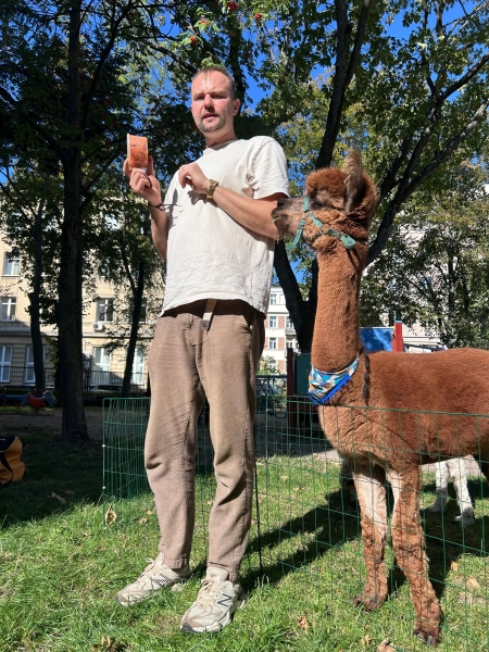 Alpaki w naszym ogrodzie.